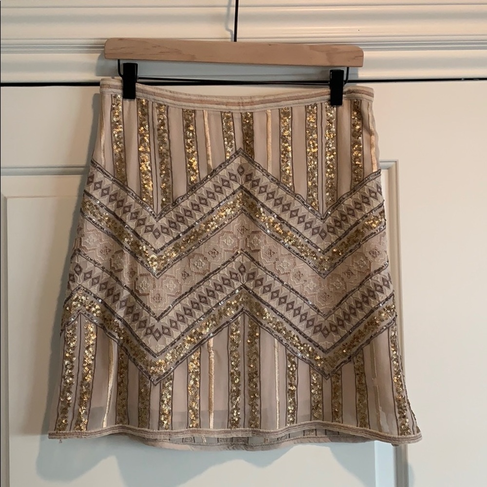 Darla Sequin Embroidered Mini Skirt